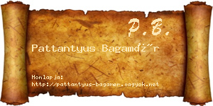 Pattantyus Bagamér névjegykártya